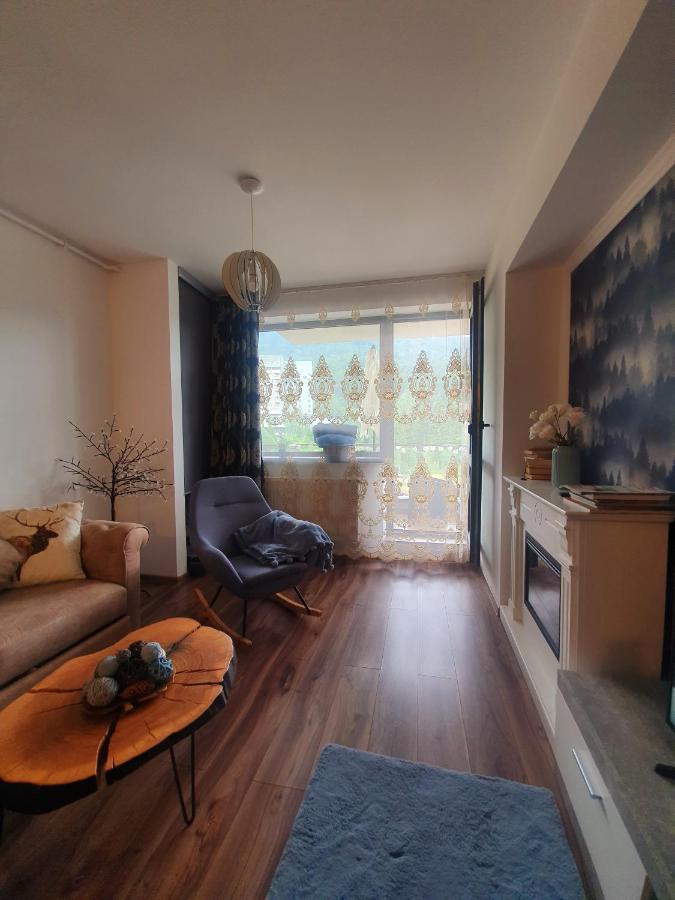 Vintage Home Sinaia Luaran gambar