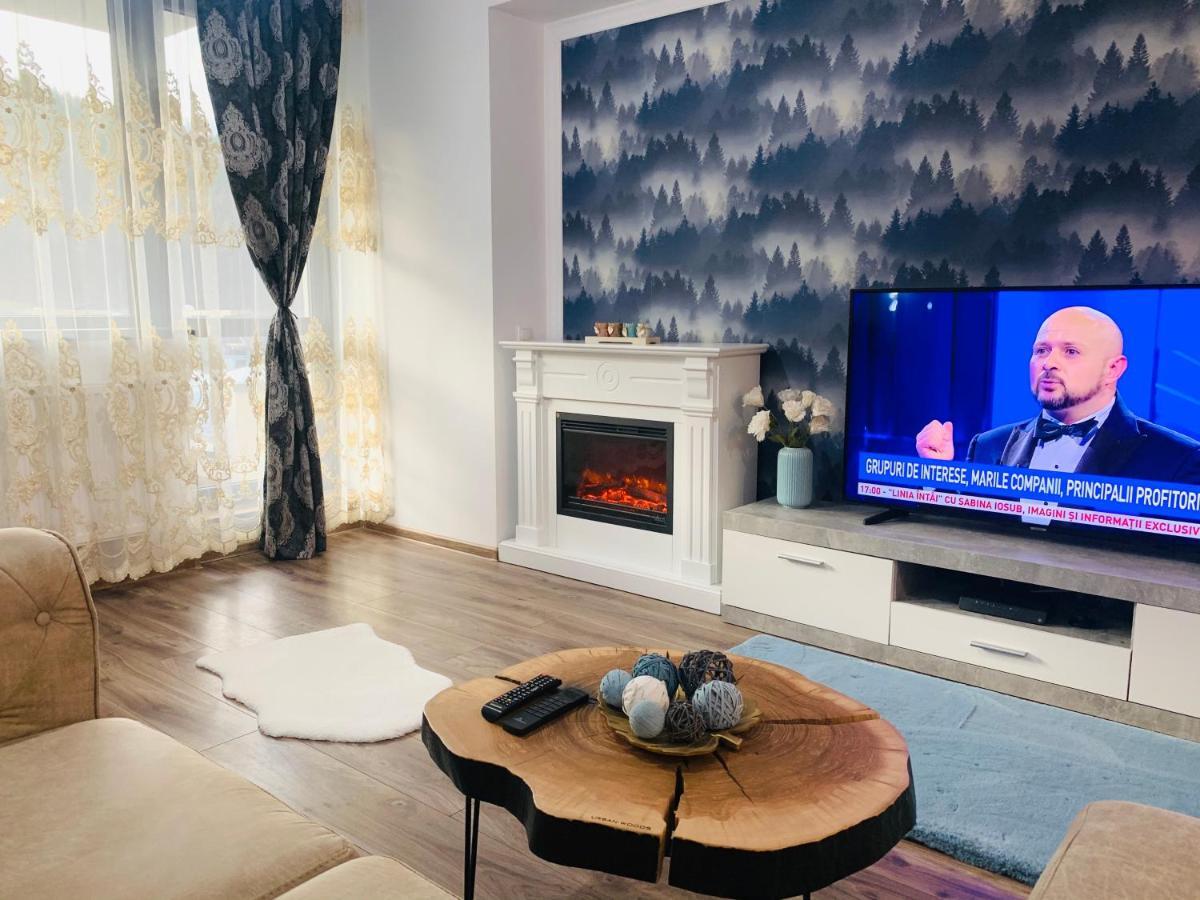 Vintage Home Sinaia Luaran gambar